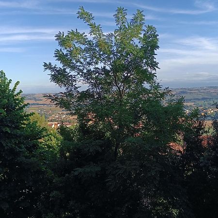 Appartamenti Dei Conti โอซิโม ภายนอก รูปภาพ
